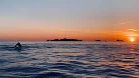 Ajaccio : Promenade en mer Coucher de Soleil des Sanguinaires