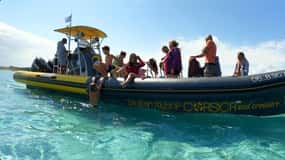 Porto-Vecchio : Discover Nature Through the Lavezzi Islands