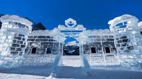 Custom Private Tour: Banff, Yoho, Lake Louise & Beyond