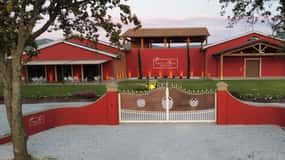 Visit and wine tasting in the heart of the Bolgheri Doc