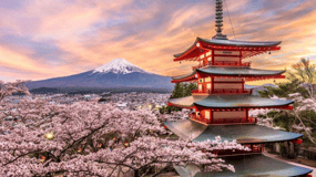 From Tokyo:Mount Fuji & Hakone Customized Private Tour