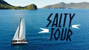 Les Saintes - Sailing CATAMARAN discovery, music, turtles and drinks!