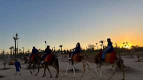 Marrakech Palmeraie Camel Ride Adventure