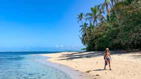 Cahuita National Park+Bribri Chocolate Tour+Waterfalls Tour+Lunch