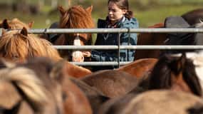 Hveragerdi: Tour a cavallo nel fascino della campagna