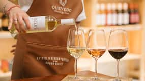 Vila Nova de Gaia: Douro Discovery