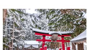 Depuis Tokyo : Nikko Unesco Visite privée entièrement personnalisée en voiture