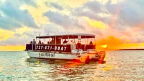 Fabulous Florida Sunset Cruise Including Dolphins