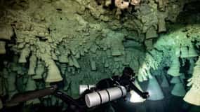 Tulum : Découvrez les profondeurs du cénote Dos Ojos