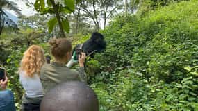 11 Day Chimpanzee Trekking, Gorilla Tracking & Wildlife Trip