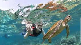 Muscat: Daymaniyat Islands Snorkeling Trip with BBQ Lunch