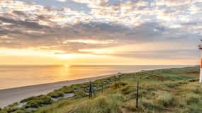 Amrum: Daytrip by boat to Sylt
