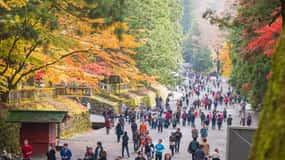Tour del patrimonio mondiale di Nikko con autista inglese