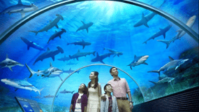 Langkawi : Underwater World Langkawi billet d'entrée