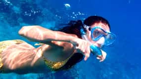 Ixtapa: Horseback Riding & Snorkeling