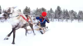 Kiruna - Renskötare Renskötartur med samisk middag och transfer