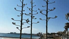 2 Hours Private Historical Tour in Cadiz
