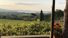 MONTEMELINO RARE WINES SELECTION