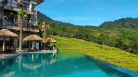 Ninh Binh Trang An Mai Chau Pu Luong 5 Days Tour From Hanoi
