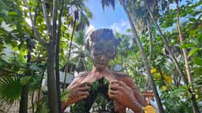 Tulum Classic: history and culture