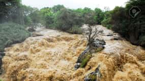 2 Days Awash National Park Safari Tours