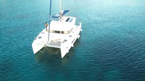 Martinique: Dolphin and Turtle Watching Catamaran Day Tour