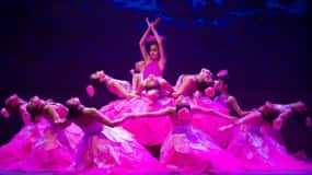 Da Nang: Charming Da Nang Show Ticket