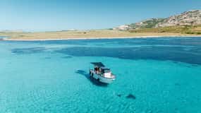 Von Stintino: Halbtägige Schnellboot-Tour zur Asinara