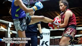 Chiang Mai: Thaphae Boxing Stadium Muay Thai