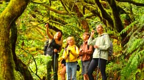 Tenerife: Hiking Tour in Anaga Mountains & Enchanted Forest