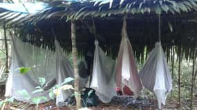 Manaus Amazonas Río Negro Camping Tour - 4 Días