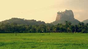 Sri Lanka: 2N3Day guiado FULL TOUR com acomodações em hotel