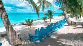 Punta Cana: Saona Island Half-Day Eco Tour – Small Group