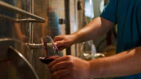 La Mare Wine Estate: Premium Vineyard & Distillery Tour