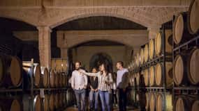 Wine tasting in the best winery in Spain from Alicante