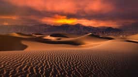 Doha: Safari notturno nel deserto con corsa sulle dune in 4x4 e giro in cammello
