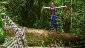 Cahuita nationalpark: Guidad kvällstur med natur- och djurliv