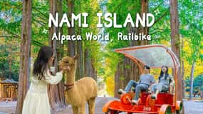 Seoul: Gangwon-do Day Trip with Alpaca World & Nami Island