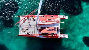 Marsella : Crucero en Catamarán por las Calanques con Comida y Vino