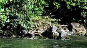 Au départ de Tuxtla : 4 jours, Chiapas, nature, culture et magie, guidé.