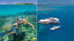 From Cairns: Green Island + Moore Reef Pontoon Combo