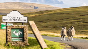 Yorkshire Dales National Park Driving Tour with an APP