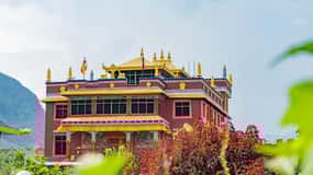 Afternoon Tibetan cultural tour