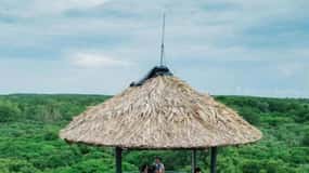 Ho Chi Minh: Can Gio Mangrove and Monkey Island