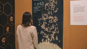 Porto: Entry Ticket at WOW - Planet Cork Museum