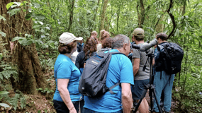 Monteverde: Guidad promenad till Monteverde Cloud Forest Reserve