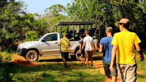 Da Ella: Safari di Udawalawa e trasferimento a Tangalle/Hiriketiya