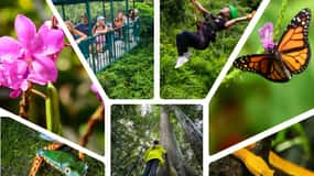 6 in 1 Tour Full Day Pass Braulio Carrillo