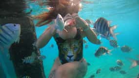 VIP Snorkeling with Turtles Adventure