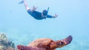Maui Sud: Avventura di snorkeling a Molokini